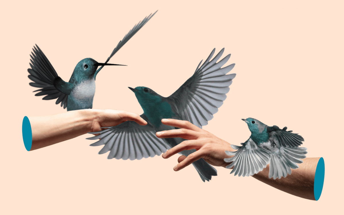 Birds and hands in a mixed media collage